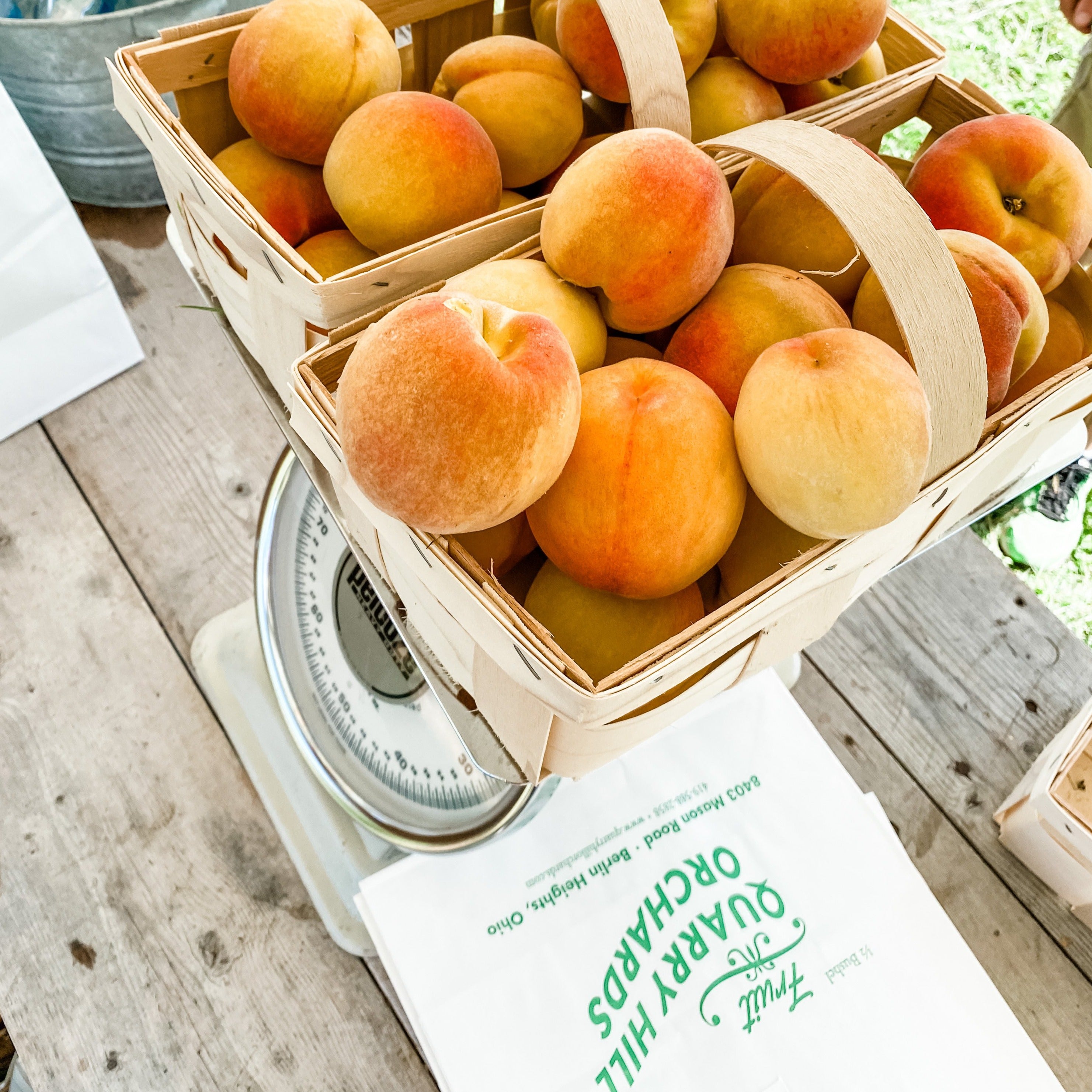 Pick Your Own Peach RSVP 2024 Quarry Hill Orchards