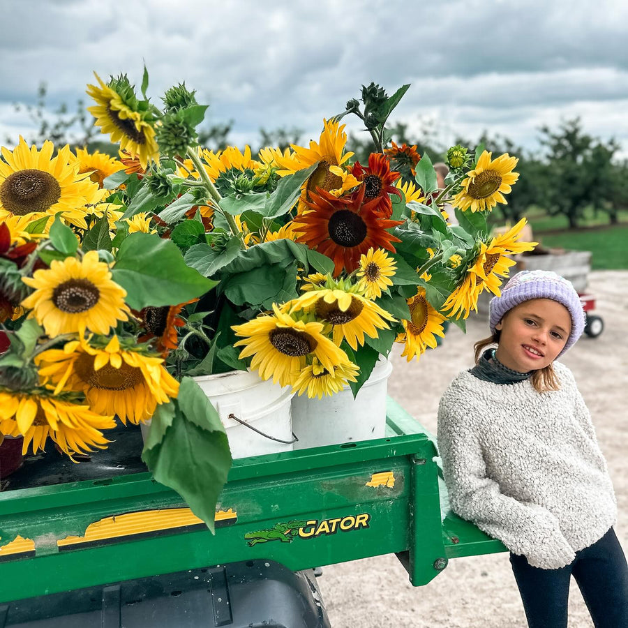 Pick Your Own Sunflowers RSVP