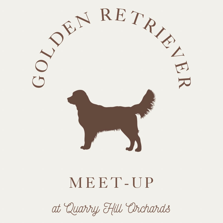 Golden Retriever Meetup RSVP (2024)