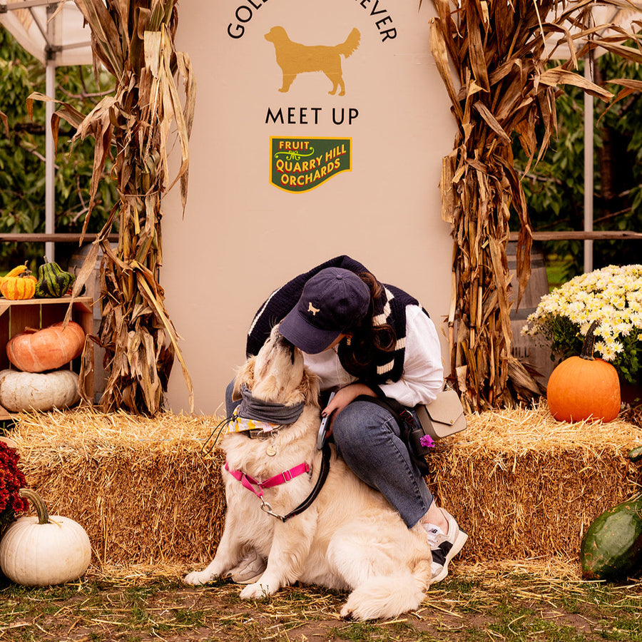 Golden Retriever Meetup RSVP (2025)