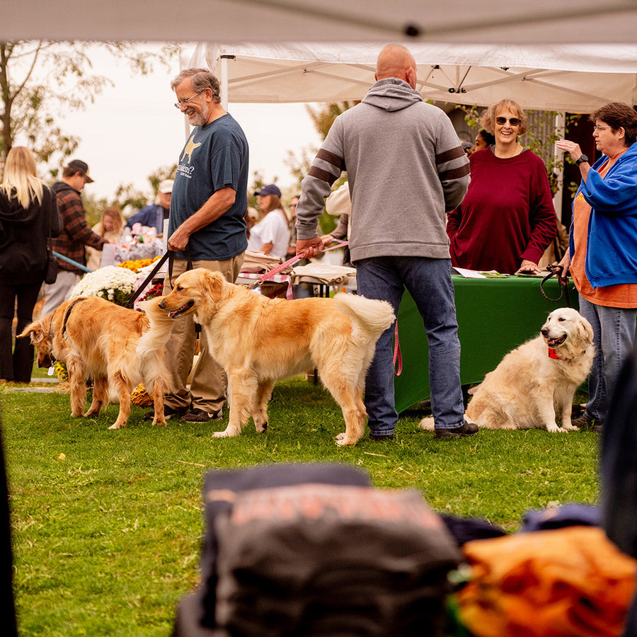 Golden Retriever Meetup RSVP (2025)