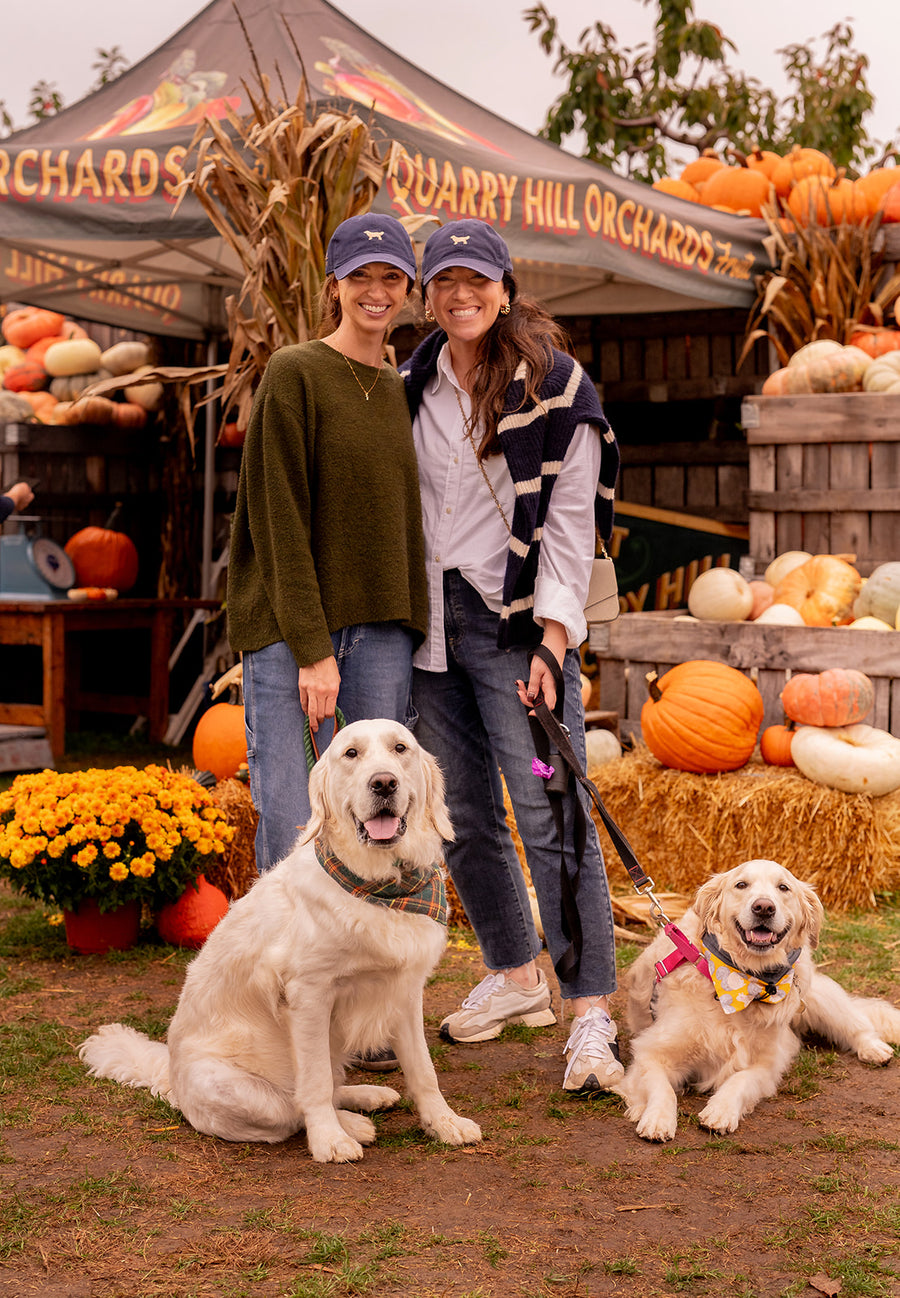 Golden Retriever Meetup RSVP (2025)