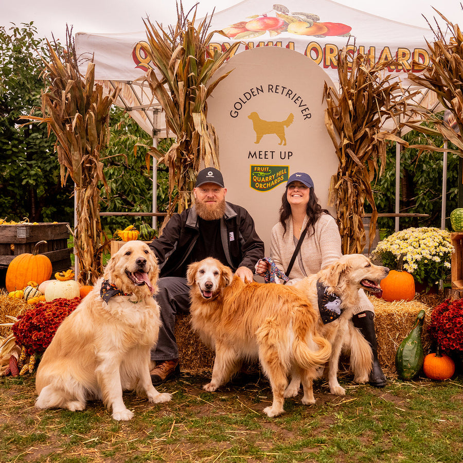 Golden Retriever Meetup RSVP (2025)
