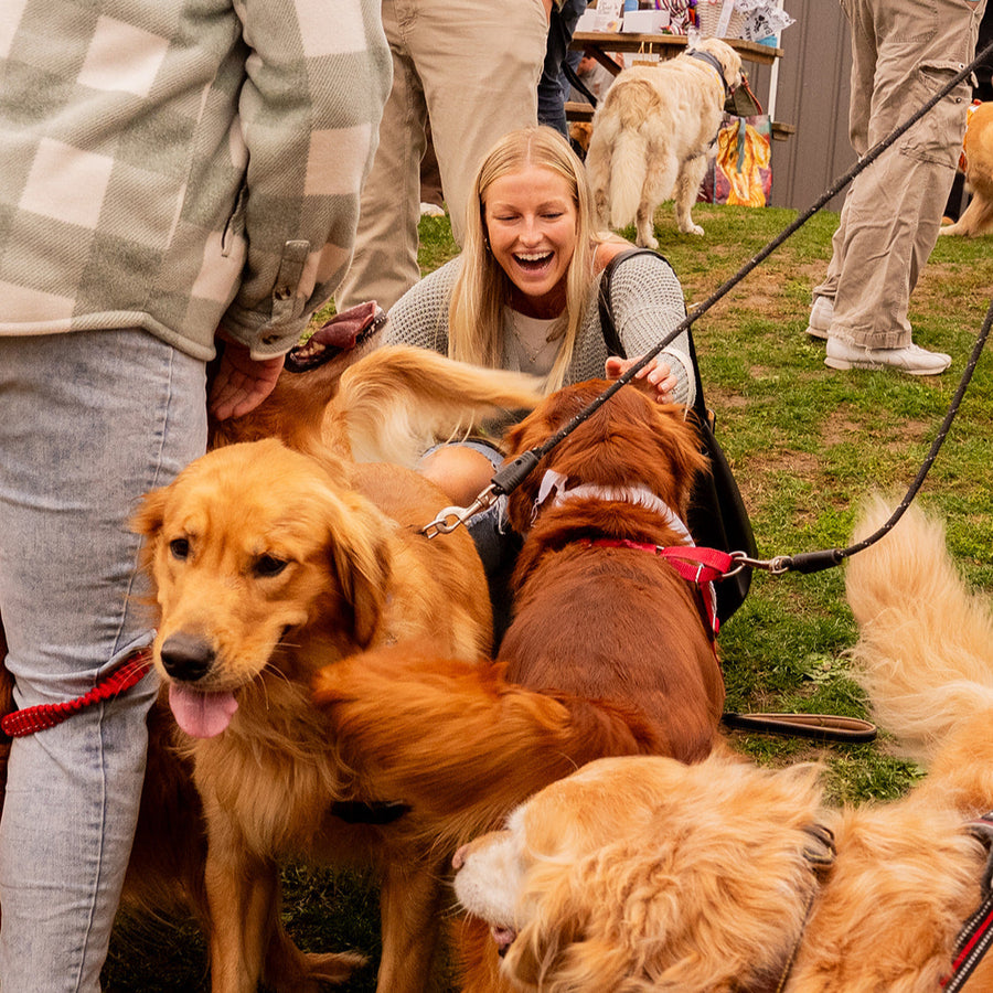 Golden Retriever Meetup RSVP (2025)