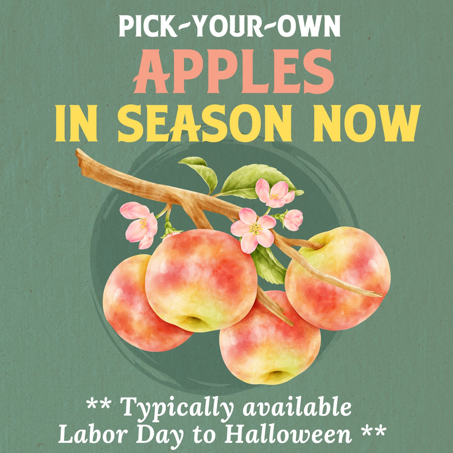 Pick Your Own Apples