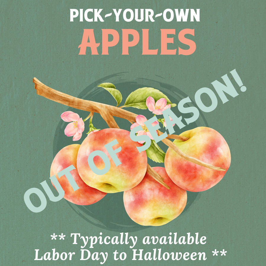 Pick Your Own Apples