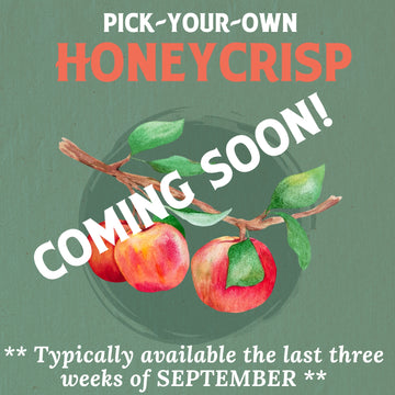 Pick Your Own Honeycrisp Apples