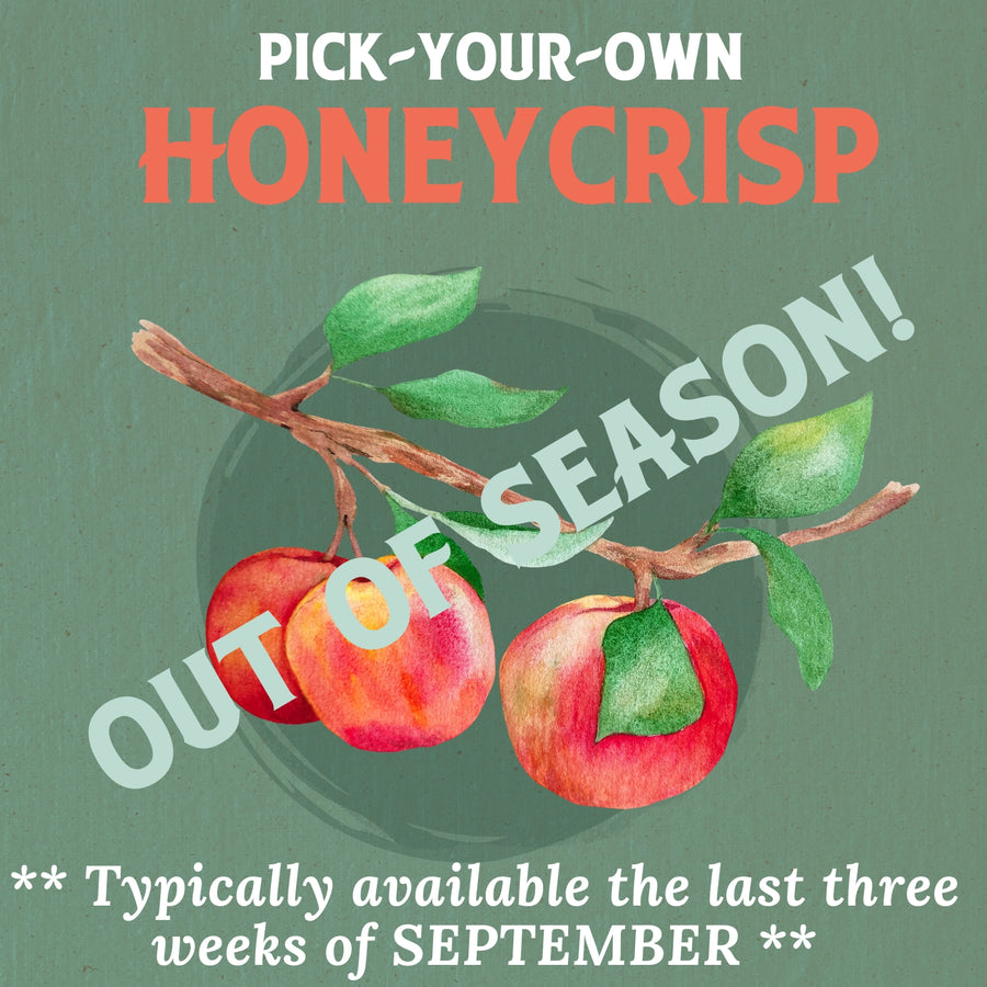 Pick Your Own Honeycrisp Apples
