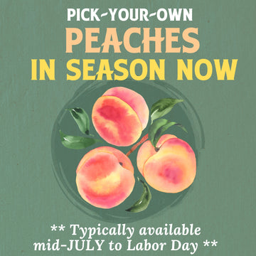 Pick Your Own Peaches RSVP