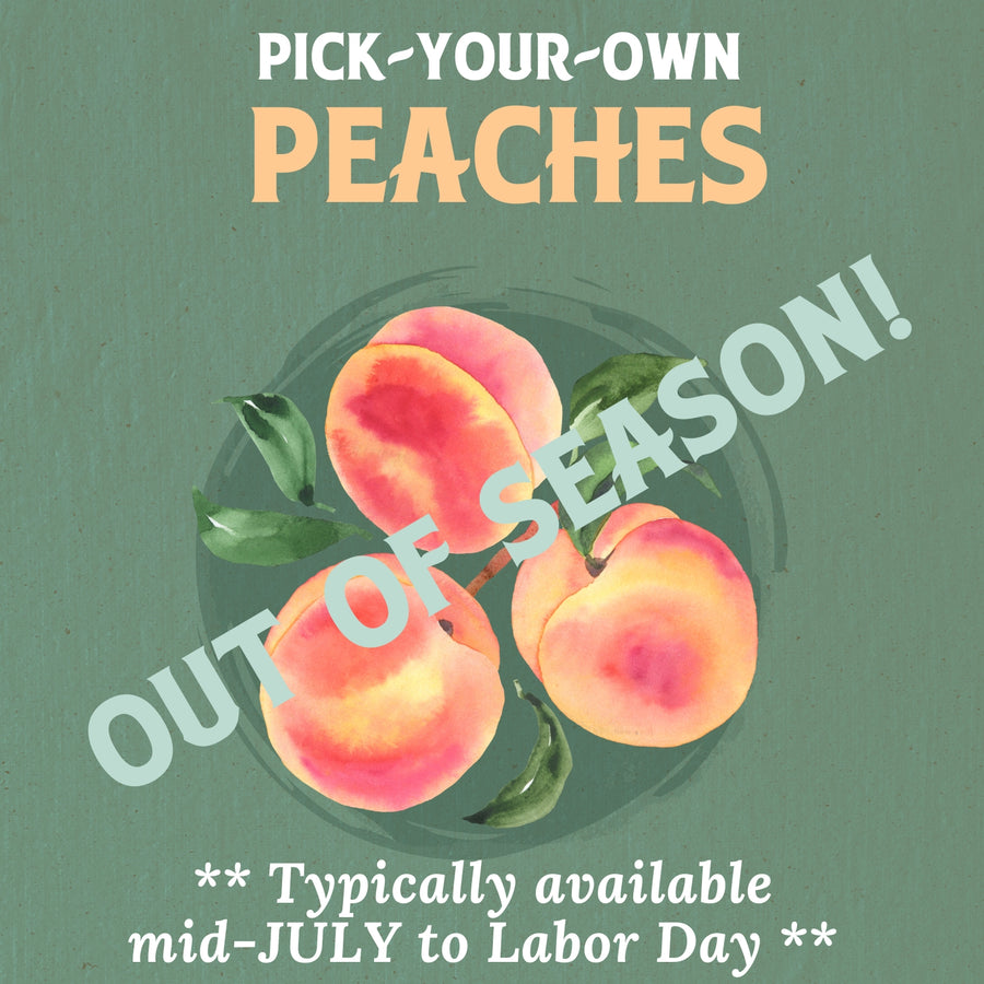 Pick Your Own Peaches RSVP