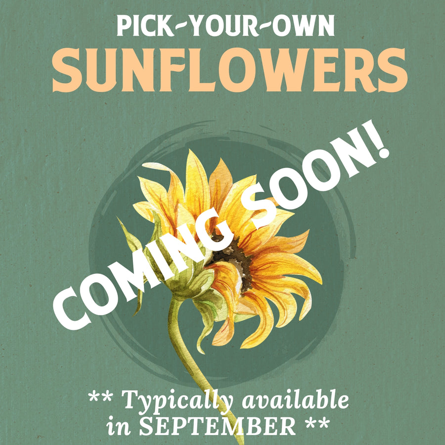 Pick Your Own Sunflowers RSVP