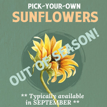 Pick Your Own Sunflowers RSVP