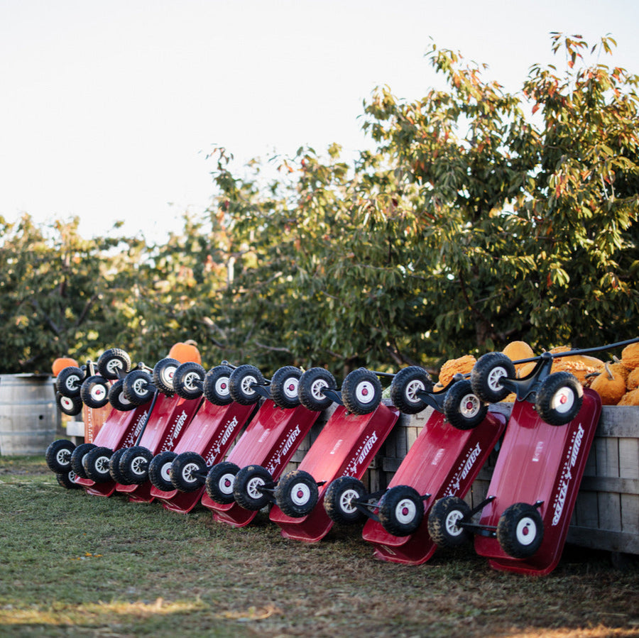 Pick Your Own Honeycrisp Apples