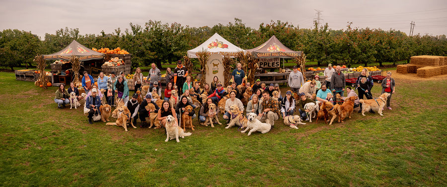 Golden Retriever Meetup RSVP (2025)