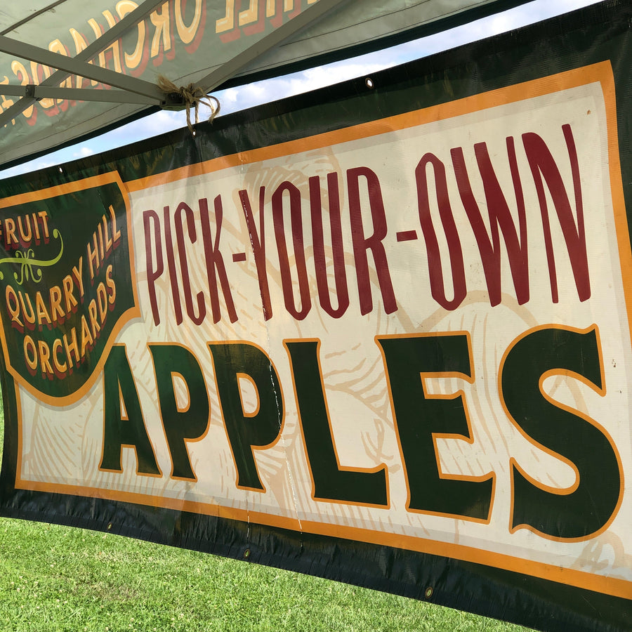 Pick Your Own Honeycrisp Apples
