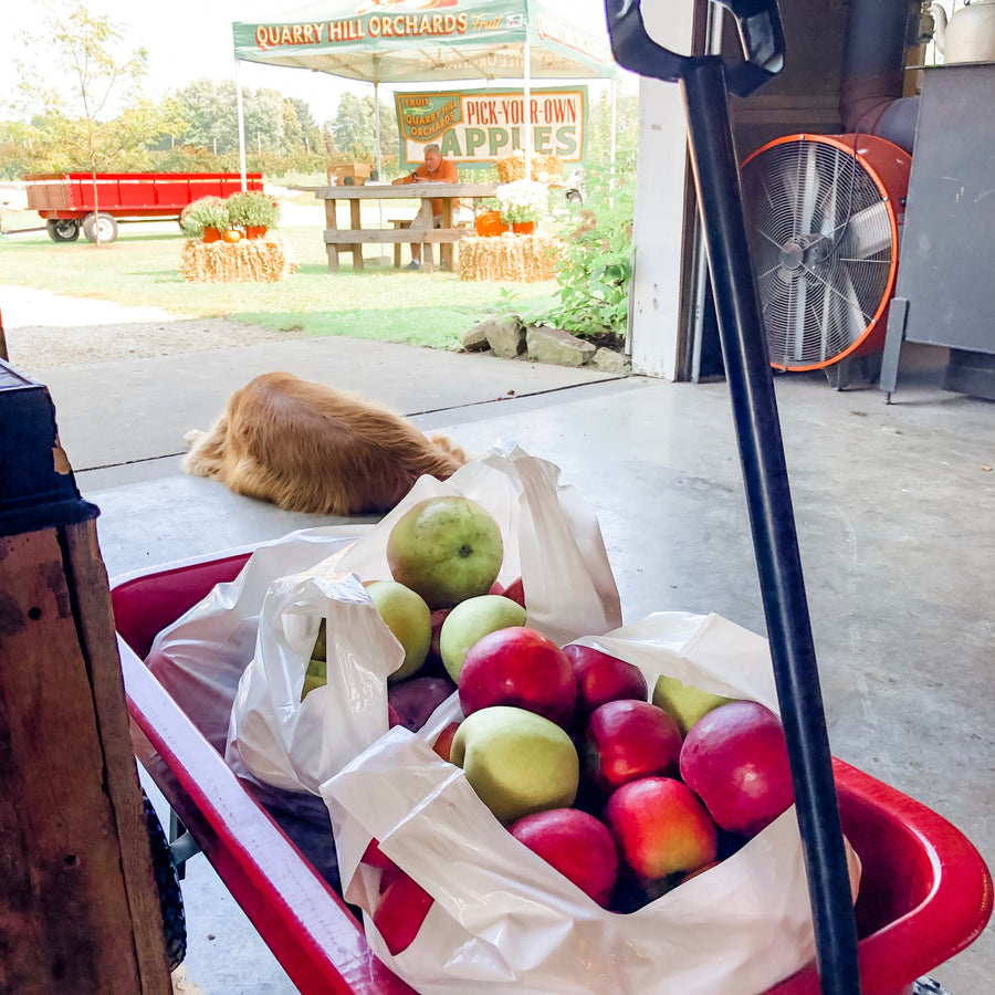 Pick Your Own Honeycrisp Apples