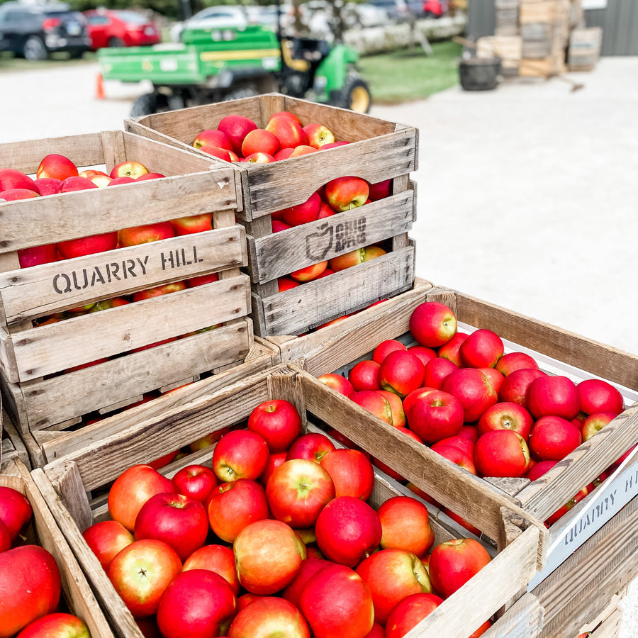 Pick Your Own Honeycrisp Apples