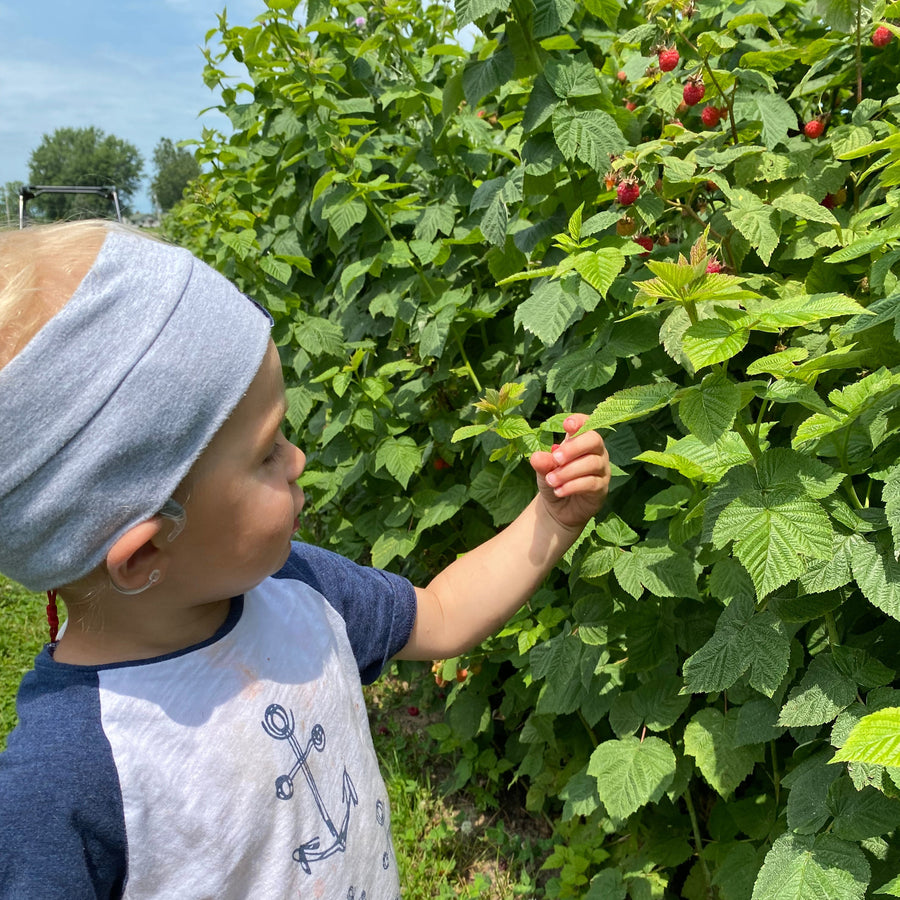 Pick Your Own Raspberries RSVP